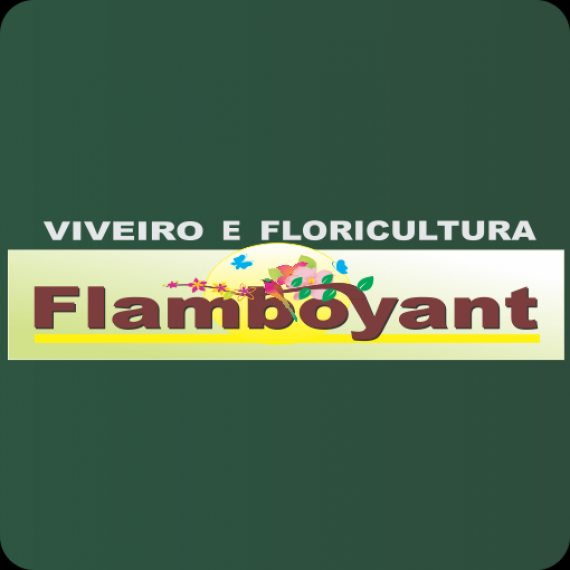 VIVEIRO FLAMBOYANT