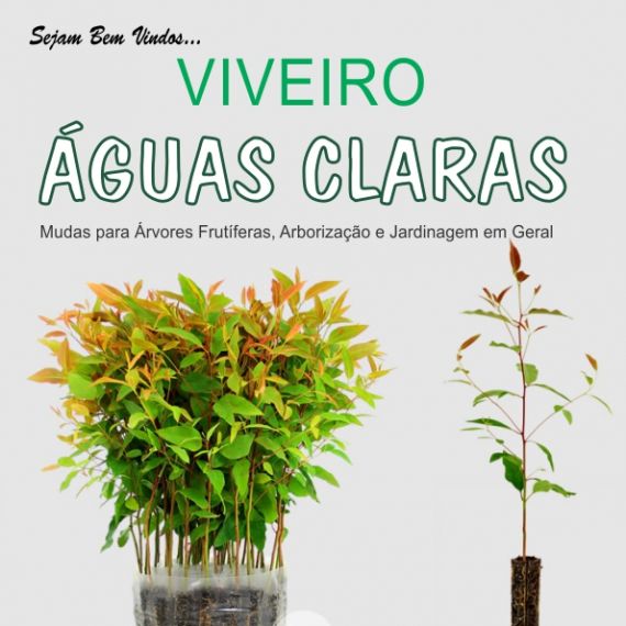 VIVEIRO ÁGUAS CLARAS