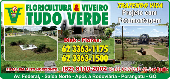 FLORICULTURA & VIVEIRO TUDO VERDE