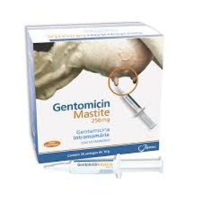 Medicamento de Uso Veterinário Gentomicin